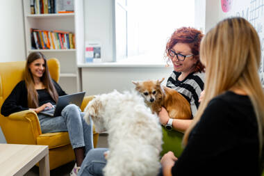 Dog friendly Fridays