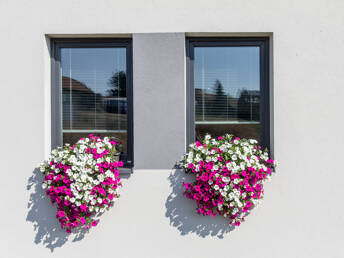 Foto v medailonku